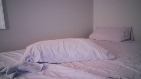 leefoxx  19-04-2022